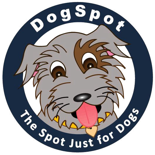 Camp diego canine daycare and shop boarding center